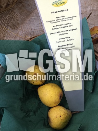 Fässlesbirne.jpg